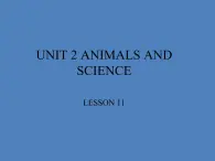 清华大学版小学英语六年级上册  UNIT 2 ANIMALS AND SCIENCE Lesson 11   课件