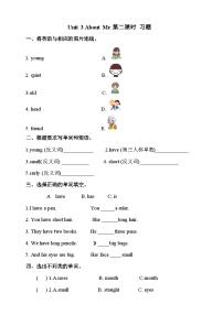 小学英语川教版四年级上册Lesson 2 My good friends精品随堂练习题