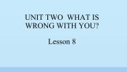 英语四年级下册Lesson 8背景图课件ppt