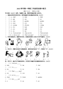 2023-2024學(xué)年廣東省廣州市海珠區(qū)江南片區(qū)聯(lián)考教科版(廣州)三年級(jí)上學(xué)期11月期中英語(yǔ)試卷(無(wú)答案)