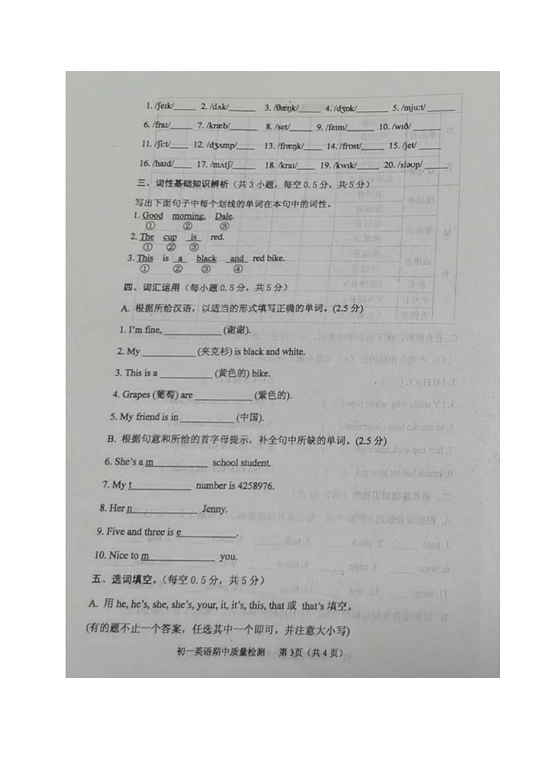 山东省烟台市牟平区(五四制)2023-2024学年六年级上学期期中考试英语试题第3页