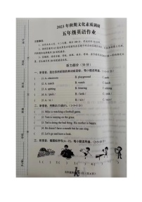 河南省南阳市西峡县2023-2024学年五年级上学期11月期中英语试题