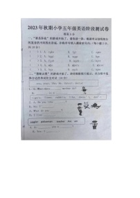 河南省南阳市卧龙区2023-2024学年五年级上学期期中英语试卷