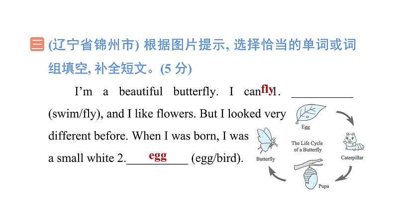 期末复习 短文填空与写作(试卷)--外研版(三起)英语六年级下册06