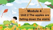 小学英语Unit 2 The apples are falling down the stairs课文内容课件ppt