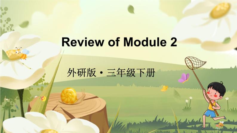 Review of Module 2 （课件）外研版（三起）英语三年级下01