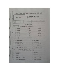 山东省菏泽市成武县联考2023-2024学年五年级上学期12月月考英语试题