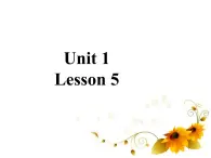 清华版（一起）小学英语四年级下册 同步课件 《Unit 1 Home sweet home  Lesson 5》 课件