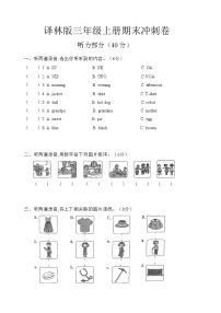 译林版（三起）英语三年级上册期末冲刺卷