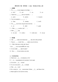 期末练习（试题）-2023-2024学年译林版（三起）英语五年级上册