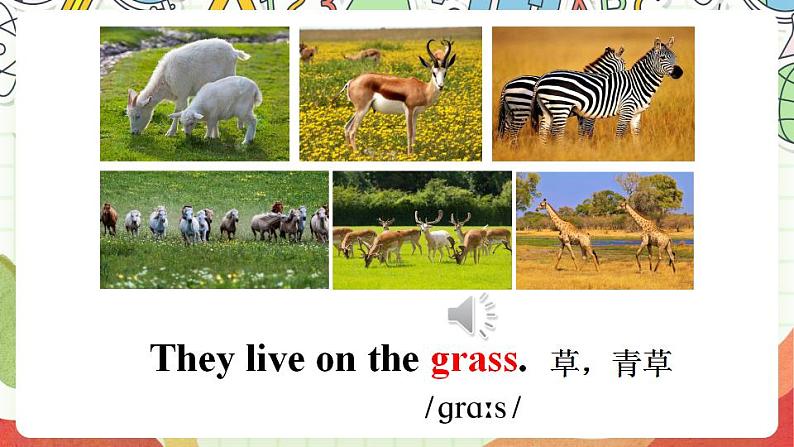 冀教版三起英语三下 Unit 2 Lesson 10《 Where do they live》课件+素材07