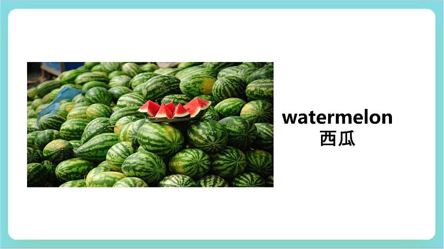 Unit1 lesson2 Talking about Squirrels課件第5頁(yè)