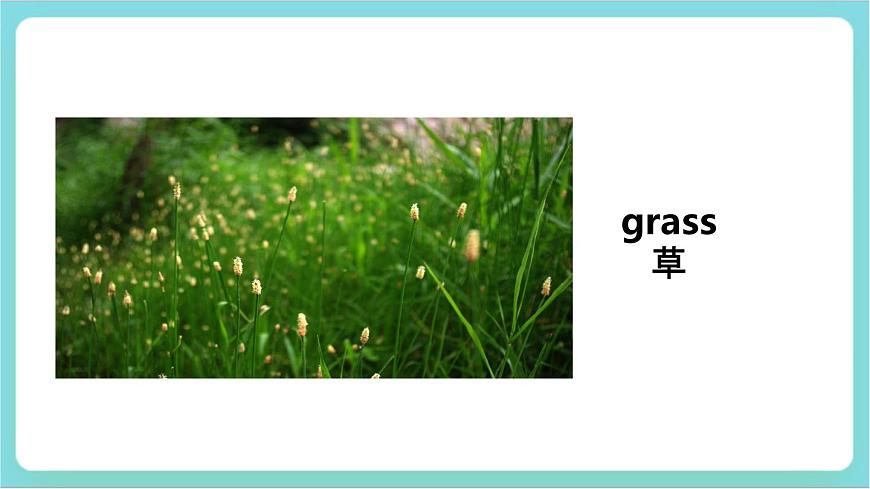 Unit1 lesson2 Talking about Squirrels課件第6頁(yè)