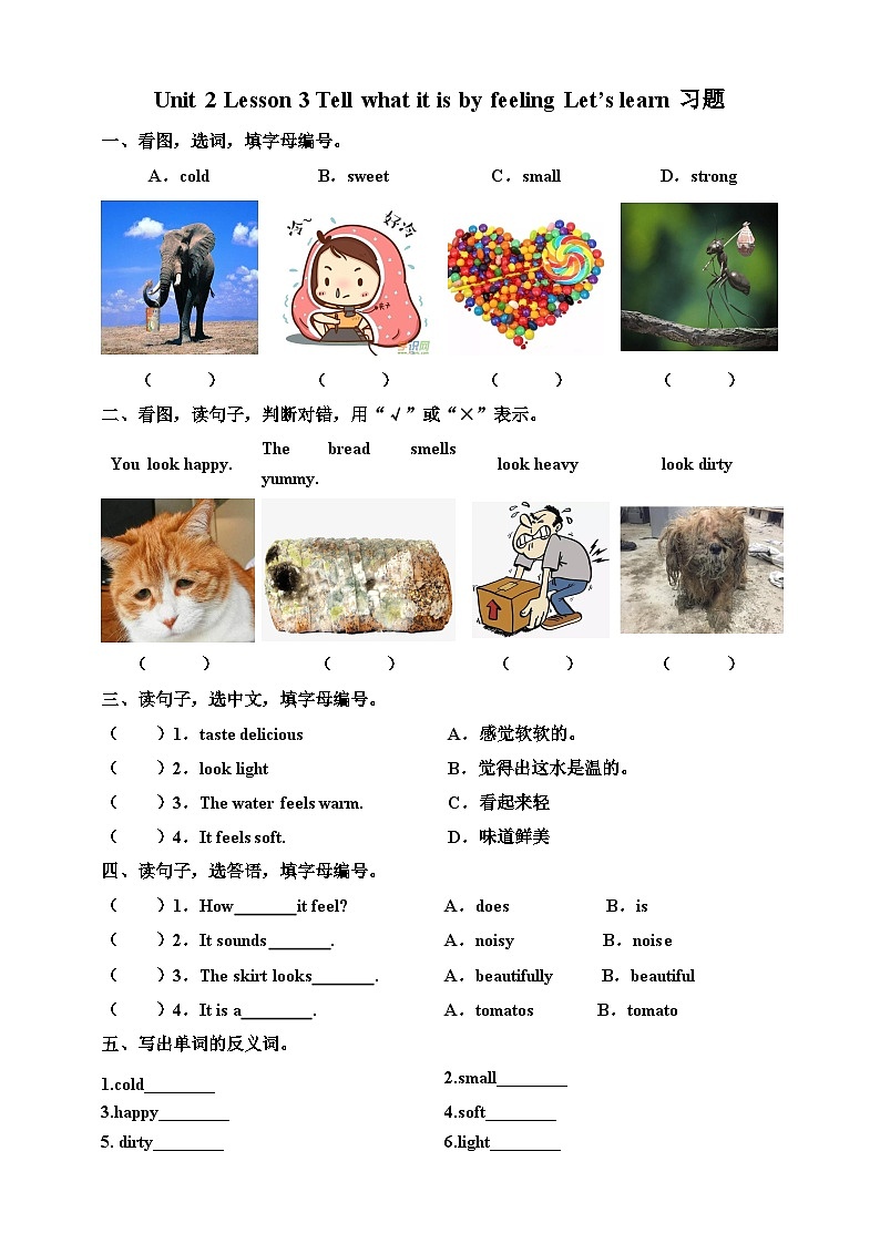 川教版英语六下Unit 2 Lesson 3 Tell what it is by feeling Let's learn 课件+教案+练习+素材01