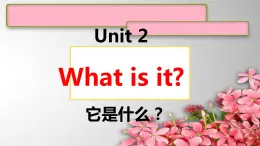 1A Unit 2What is it课件 新概念英语青少版