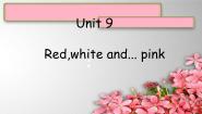 小学新概念英语（青少版）Unit 9 Red,white and...pink!课前预习ppt课件