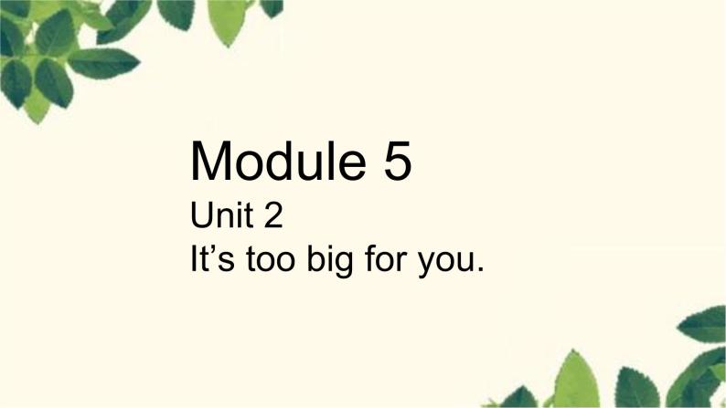 外研版（三起）英语五年级下册 M5U2 It's too big for you课件01