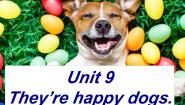 新概念英语（青少版）Starter BUnit 9 They're happy dogs.教课课件ppt