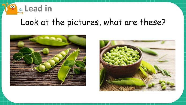 Module 4 Things we enjoy Unit 12 The five peas 第1课时(课件+素材)-2023-2024学年牛津上海版(三起)英语六年级下册04