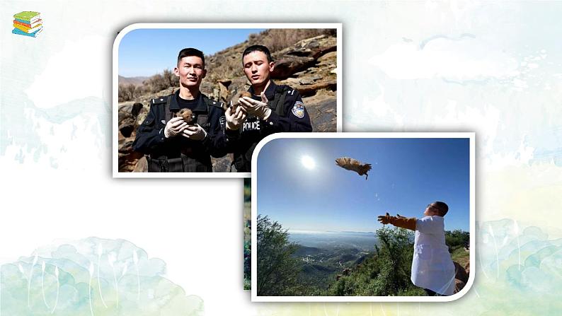 Module 2 Unit 5 Animals in danger 课件(六上)04