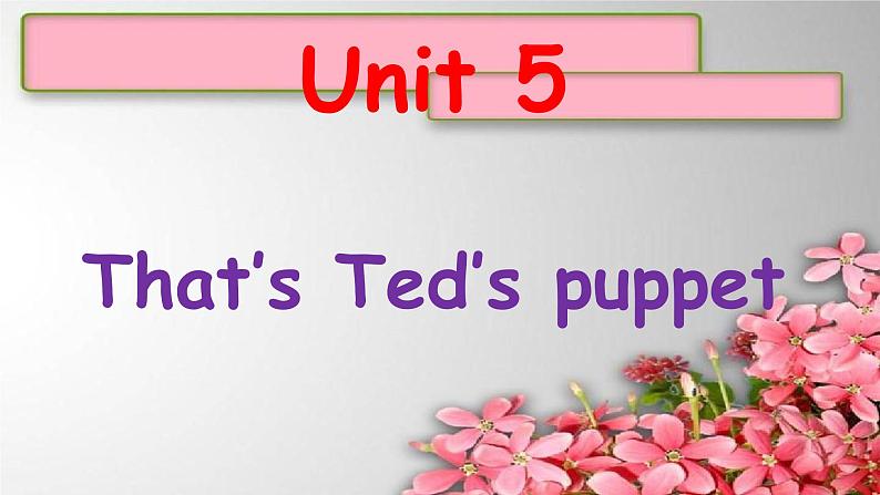 Start B Unit 5That’s Ted’s puppet课件 新概念英语(青少版)Starter B01