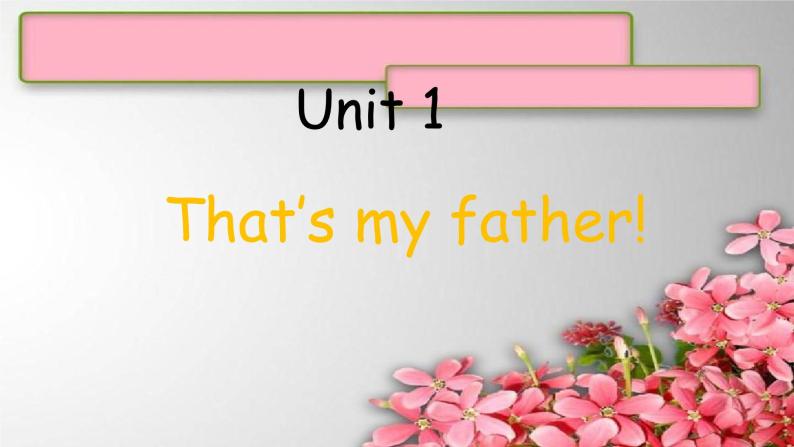 Start B  Unit1 That’s my father!（1）课件  新概念英语（青少版）Starter  B01