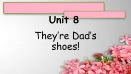 Unit 8They’re Dad’s shoes!课件  新概念英语（青少版）Starter  B