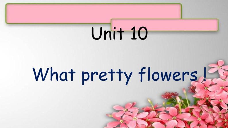 Unit 10 What pretty flowers !（1）课件  新概念英语（青少版）Starter  B01