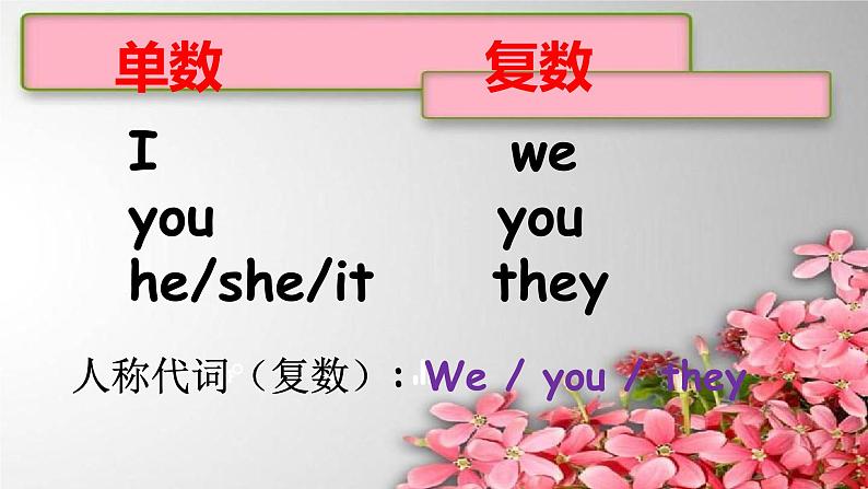 Unit 10 What pretty flowers !(1)课件 新概念英语(青少版)Starter B第8页