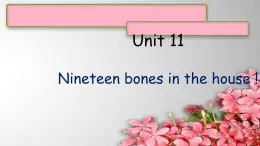 Unit 11Nineteen bones in the house !（1）课件  新概念英语（青少版）Starter  B