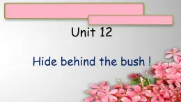 Unit 12Hide behind the bush !课件  新概念英语（青少版）Starter  B