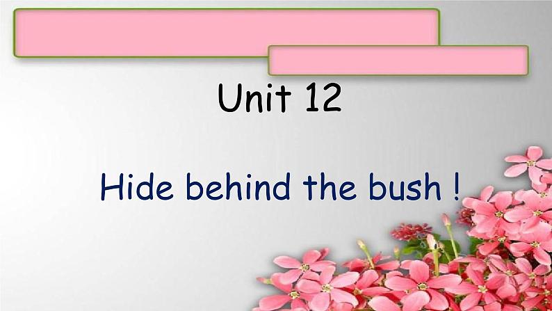 Unit 12Hide behind the bush !课件 新概念英语(青少版)Starter B第1页