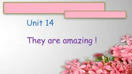 Unit 14They are amazing !课件  新概念英语（青少版）Starter  B