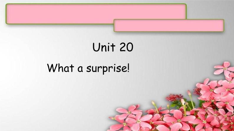 Unit 20 What a surprise!课件  新概念英语青少版1B01