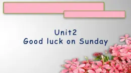 U2Good luck on Sunday课件  新概念英语（青少版）2A