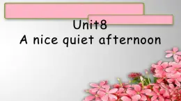 U8A nice quiet afternoon课件  新概念英语（青少版）2A