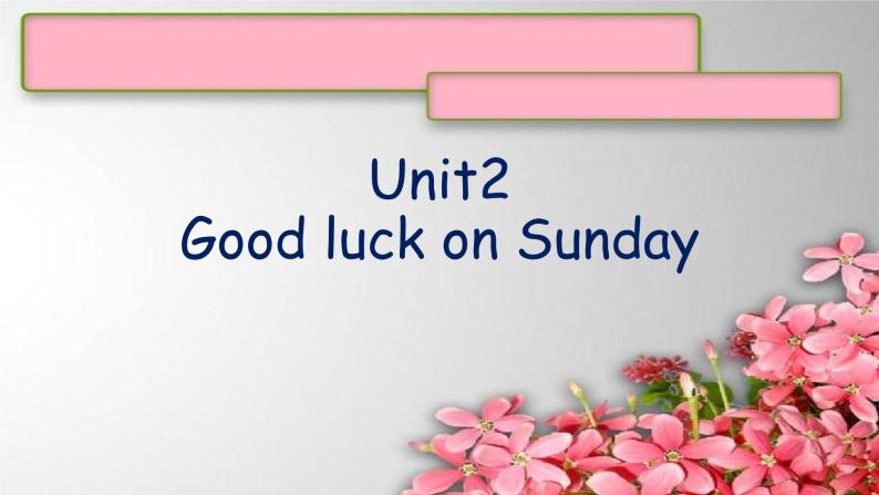 Unit 2Good luck on Sunday课件  新概念英语（青少版）2A01