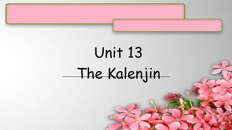 Unit 13The Kalenjin课件 新概念英语(青少版)2A第1页