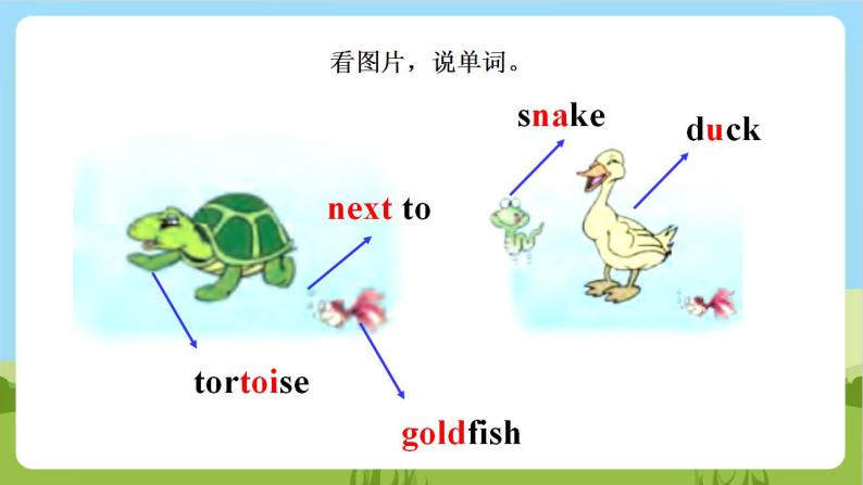 【新课标】Unit 3 Lesson 2 《There is a red goldfish》 第2课时 课件+教案+练习+素材07