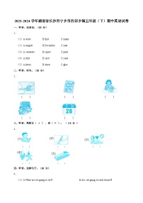2023-2024学年湖南省长沙市宁乡市西部乡镇五年级（下）期中英语试卷