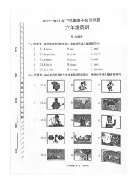 河南省许昌市长葛市2022-2023学年六年级下学期期中英语试题
