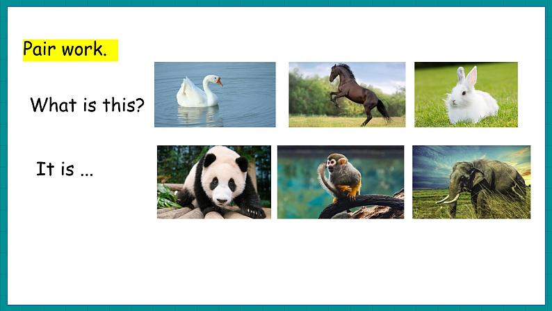 冀教版 英语五年级上册U4 Lesson21第4页