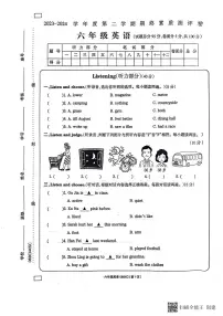 河南省周口市项城市2023-2024学年六年级下学期6月期末英语试题