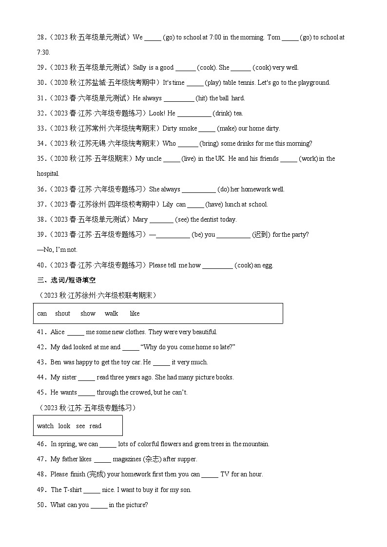 2023年 江苏小升初 语法专项精练--动词 的用法(含答案解析)译林版三起第3页
