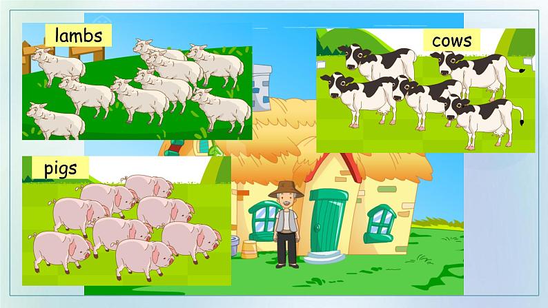 Unit 3 Animals let's check(课件)-2024-2025学年人教新起点版英语五年级上册03