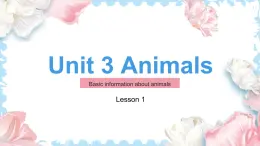 Unit 3 Animals Lesson 1（课件）-2024-2025学年人教新起点版英语五年级上册