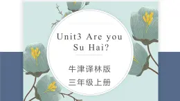 牛津译林版英语三上Unit 3 Are you  Su Hai教案课件PPT