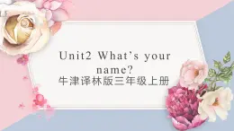 牛津译林版三上英语Unit 2 What's your name教案课件PPT