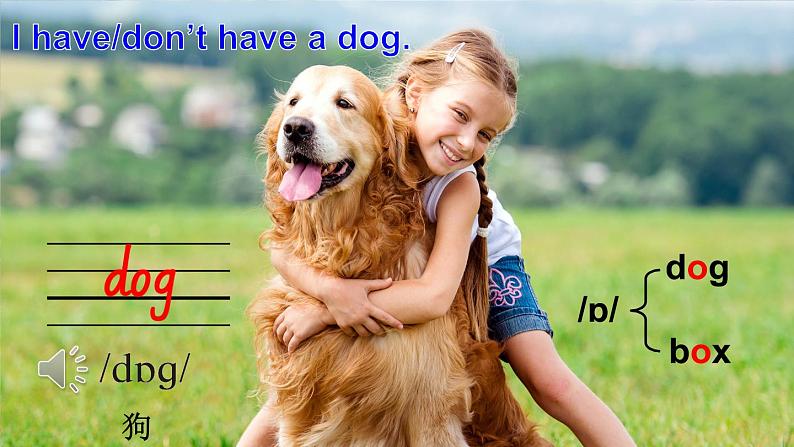 Unit 3 Amazing animals Part A Let’s talk & Do a survey(课件+素材)-2024-2025学年人教PEP版(2024)英语三年级上册06