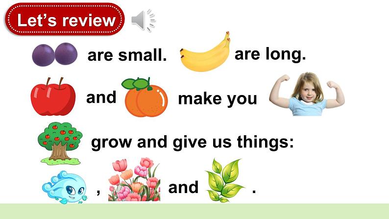 Unit 4 Plants around us Part A Letters and sounds(课件+素材)-2024-2025学年人教PEP版(2024)英语三年级上册02